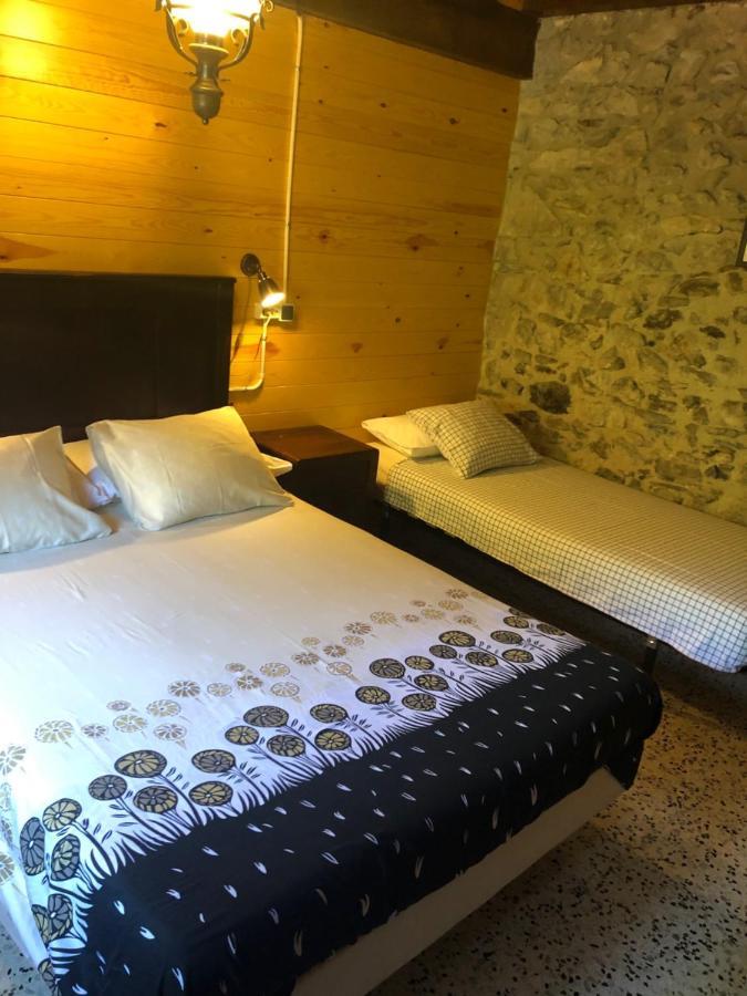 Mas Molladar Solo Adultos Guest House Camprodon Bagian luar foto